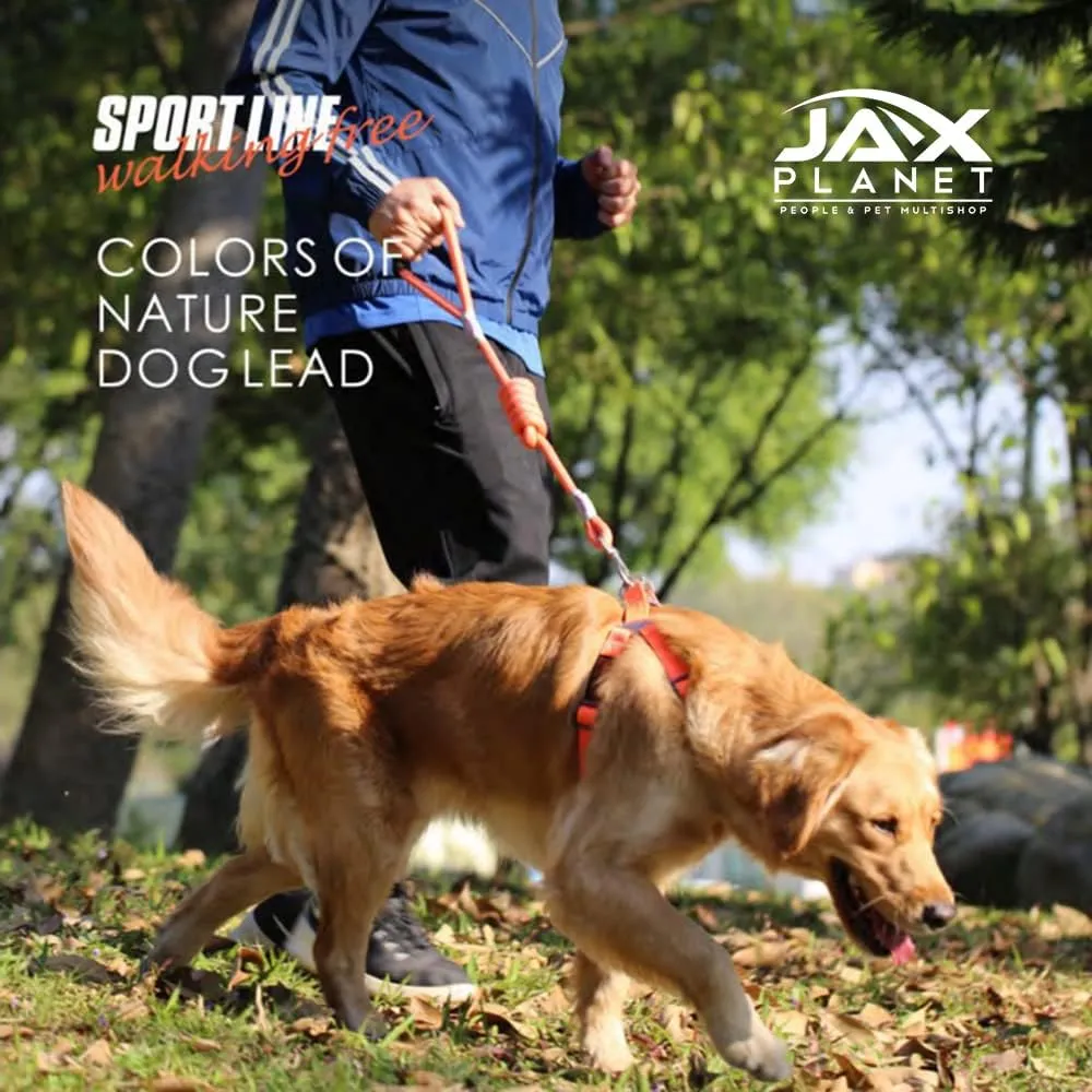 Dog Harness and Leash - Comfortable Leash and Harness for Small, Medium, Large Dogs - Perfect for Training, Includes D-Ring Harness & Leash Set