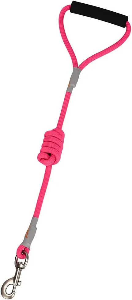 Dog Harness and Leash - Comfortable Leash and Harness for Small, Medium, Large Dogs - Perfect for Training, Includes D-Ring Harness & Leash Set