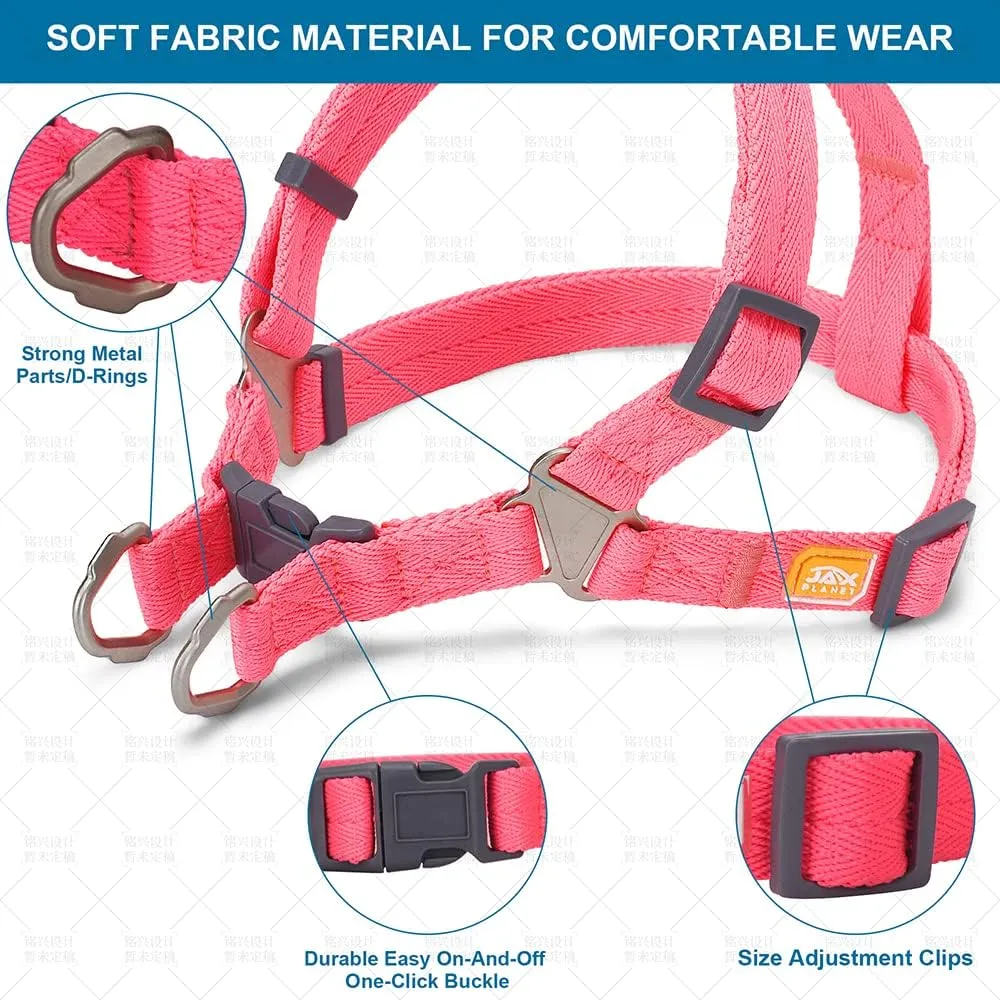 Dog Harness and Leash - Comfortable Leash and Harness for Small, Medium, Large Dogs - Perfect for Training, Includes D-Ring Harness & Leash Set