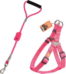 Dog Harness and Leash - Comfortable Leash and Harness for Small, Medium, Large Dogs - Perfect for Training, Includes D-Ring Harness & Leash Set