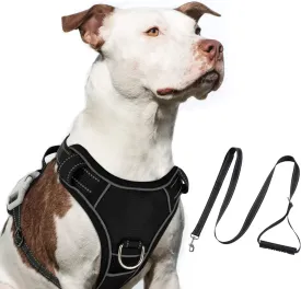 Dog Vest Harness, No Pull in Trainning Dog Harnesses with Handle & 5ft Dog Leash, Adjustable and Reflective No Chock for Small Medum Large Pets Walking and Running