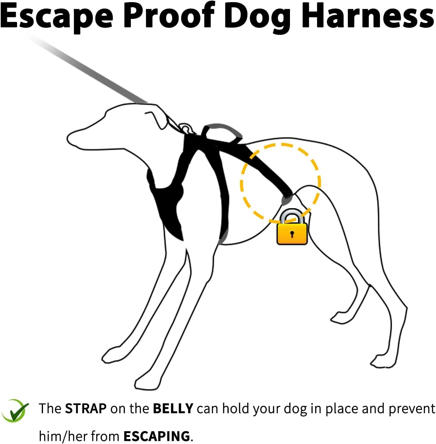Escape Proof Dog Harness, No Pull Reflective Harness with Lift Handle, Adjustable Pet Vest with Front and Back Leash Clips for Small Medium Large Dogs Walking Hiking Training (Teal,XL)