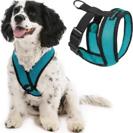 Gooby Comfort X Head in Harness - Turquoise, Small - No Pull Dog Harness, Patented Choke-Free X Frame - On The Go Dog Harness for Medium Dogs, Indoor and Outdoor Use