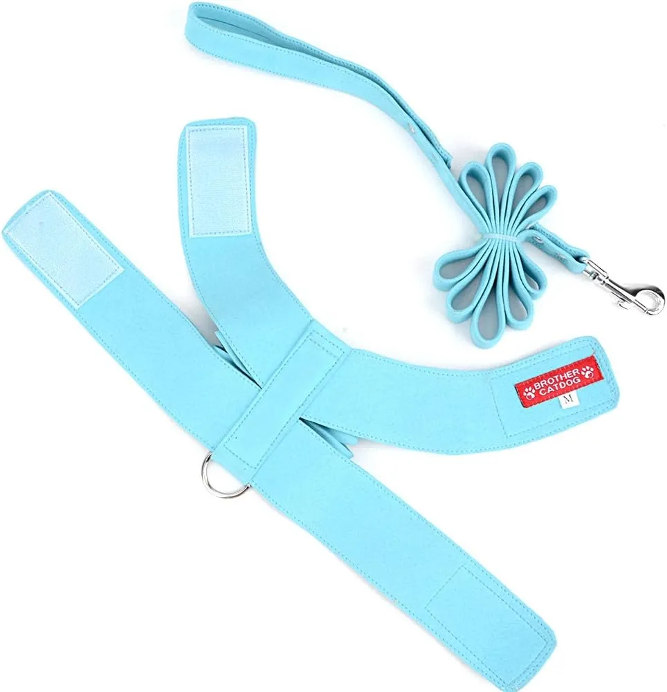 Ranphy Dog Harness and Matching Leash Set Girl Bling Rhinestone No-Pull Puppy Vest Doggie Cat Walking Training Harness Soft Suede Leather Collar Adjustable for Yorkie Chihuahua Small Pet Dog Blue M