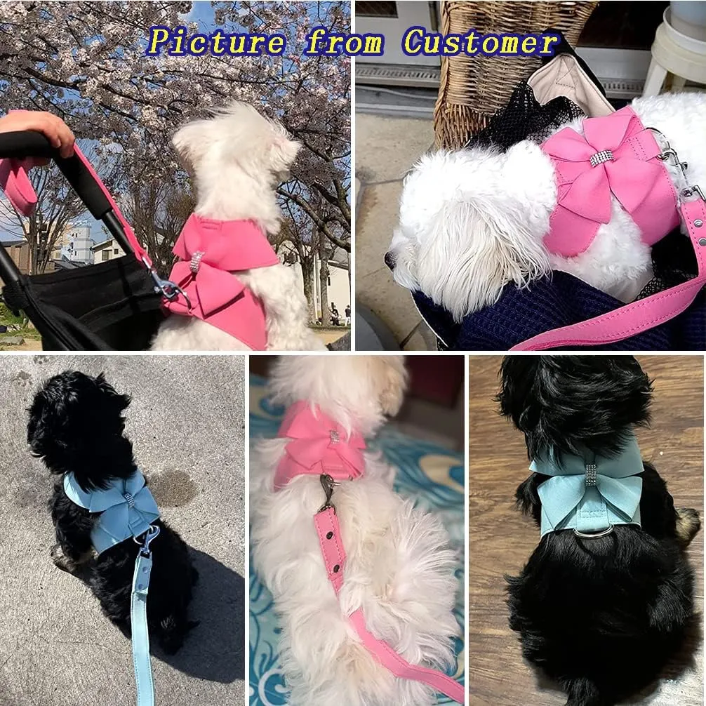 Ranphy Dog Harness and Matching Leash Set Girl Bling Rhinestone No-Pull Puppy Vest Doggie Cat Walking Training Harness Soft Suede Leather Collar Adjustable for Yorkie Chihuahua Small Pet Dog Blue M