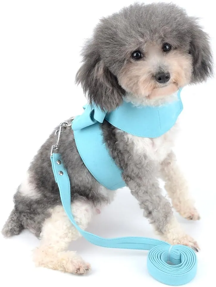 Ranphy Dog Harness and Matching Leash Set Girl Bling Rhinestone No-Pull Puppy Vest Doggie Cat Walking Training Harness Soft Suede Leather Collar Adjustable for Yorkie Chihuahua Small Pet Dog Blue M