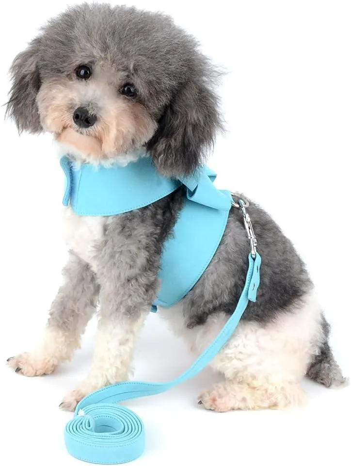 Ranphy Dog Harness and Matching Leash Set Girl Bling Rhinestone No-Pull Puppy Vest Doggie Cat Walking Training Harness Soft Suede Leather Collar Adjustable for Yorkie Chihuahua Small Pet Dog Blue M