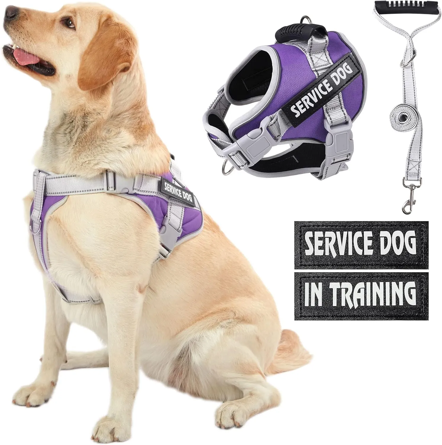 Service Dog Vest Harness, No Pull in Trainning Dog Harnesses with Handle & 5ft Dog Leash, Adjustable and Reflective No Chock for Small Medum Large Pets Walking and Running(Purple, XL)