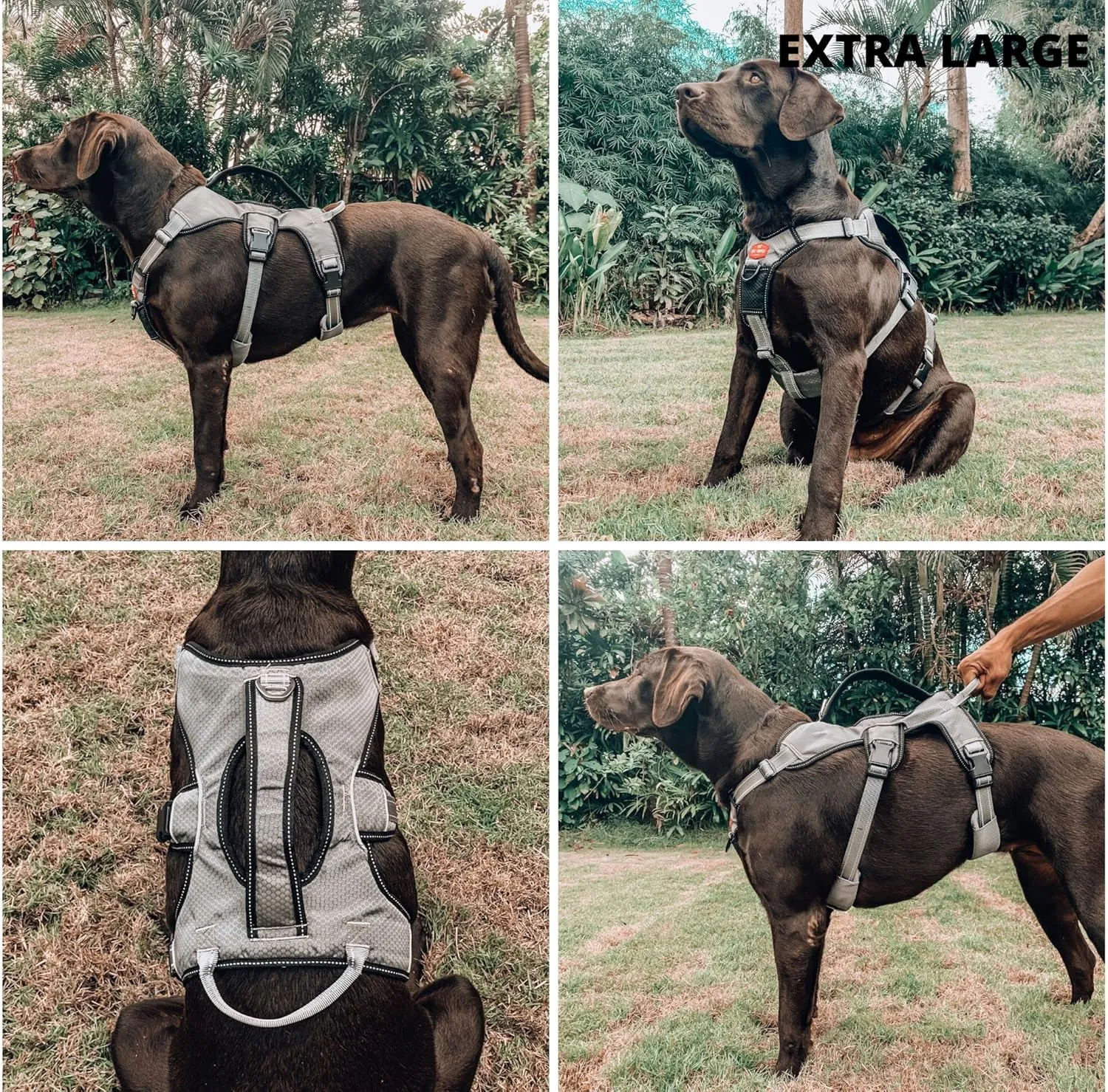 Tuff Pupper Escape Proof No Escape Dog Harness | 5 Point Adjustable Fit Harness for Dogs | Padded Dog Harnesses | Handle Dog Lift Harnesses