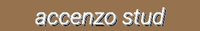 Accenzo Studio | Fashion Accessories for Head, Hand, Foot & Outfit Detailing